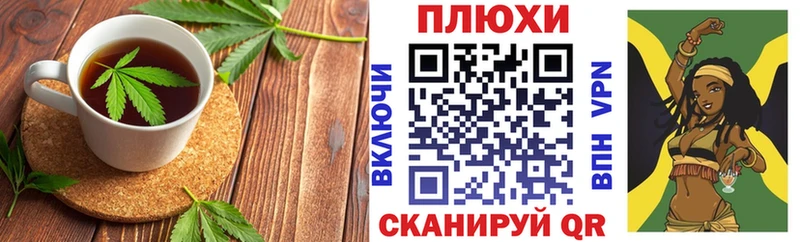 Купить где  Благодарный  Canna-Cookies конопля 