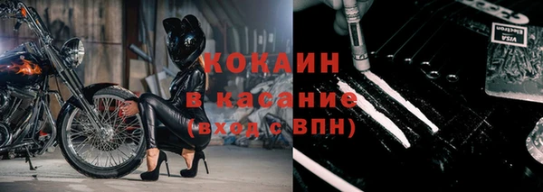 apvp Тайга