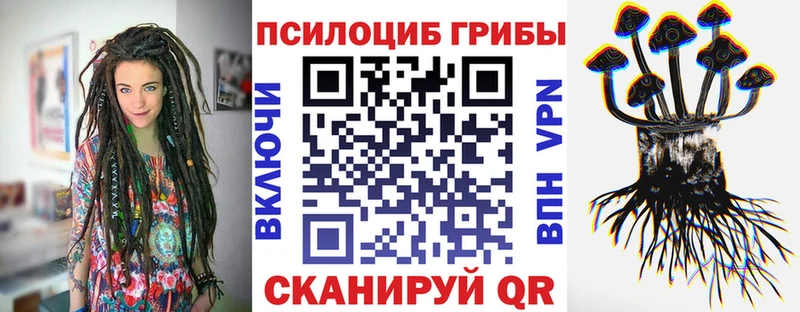 Купить  Благодарный  Псилоцибиновые грибы GOLDEN TEACHER 